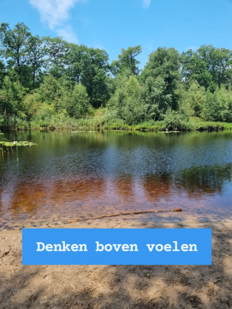 Denken boven voelen