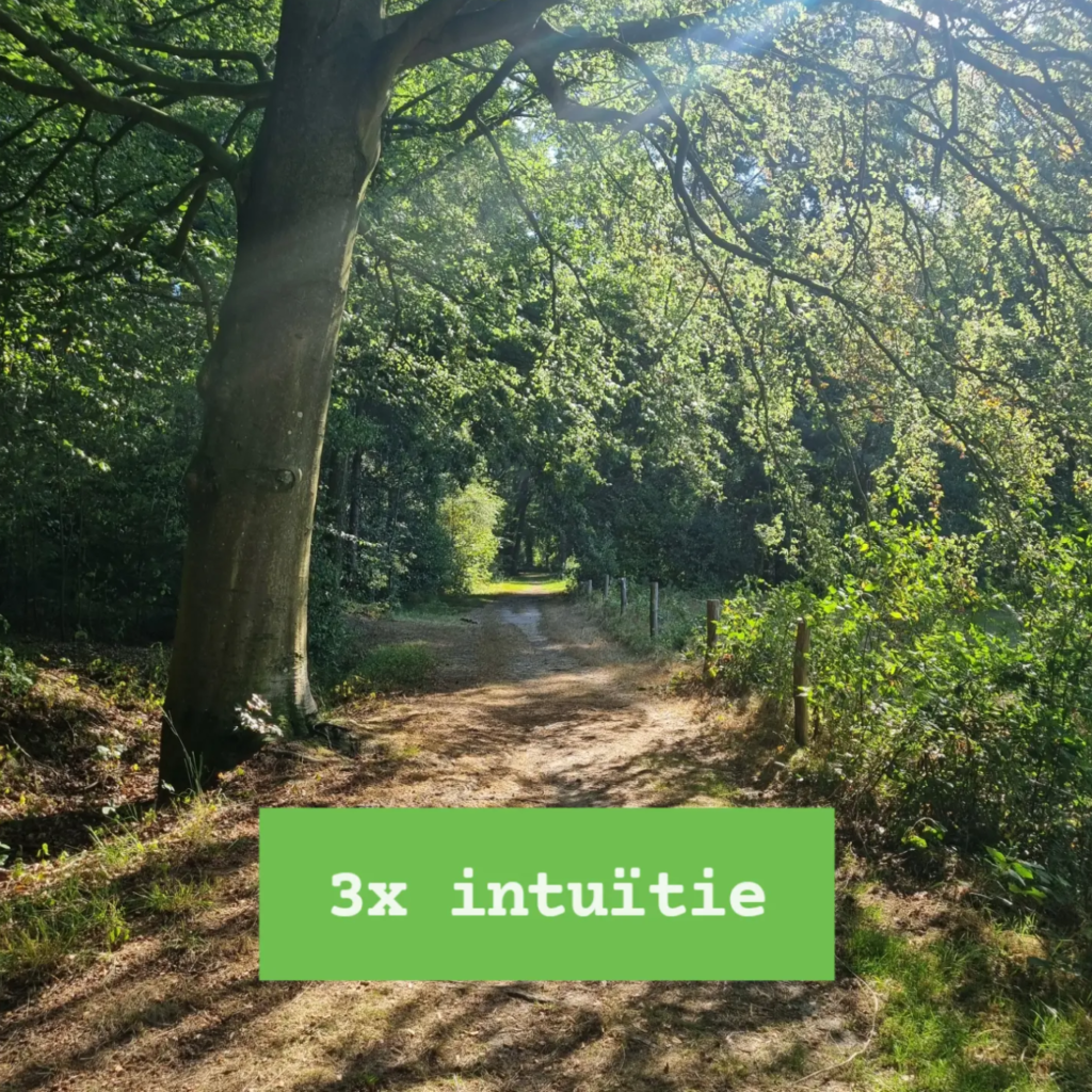 3x intuïtie